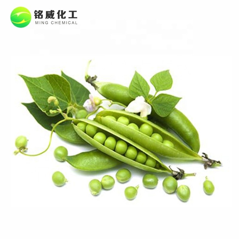 Bulk Vegan Organic Protein  Texture Pea Protein Isolate Concentrate 80% Wholesale Extract Powder With Private Label