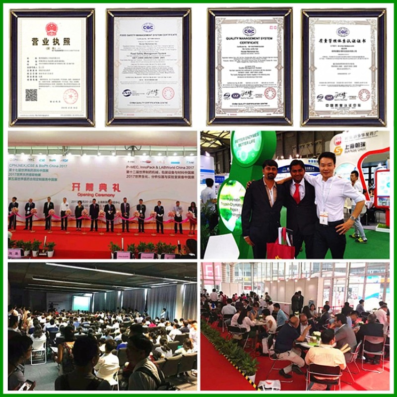 Natural Food Additives Organic Pea Protein Powder Pea Protein Isolate Pea Protein