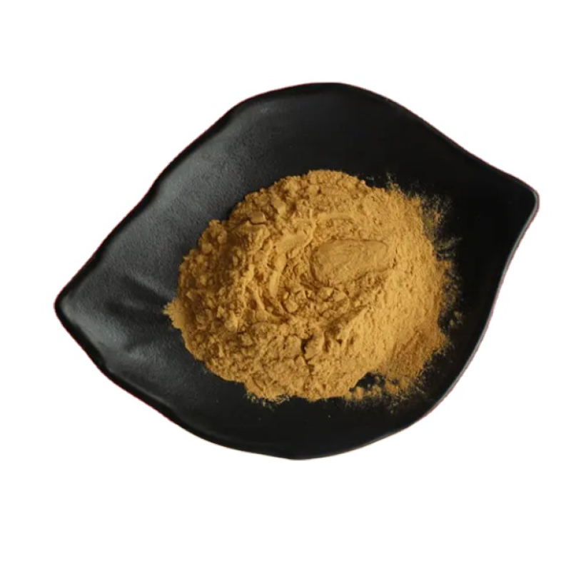 Baikal Skullcap Root Extract Scutellaria Baicalensis Georgi Extract Baicalin Scutellaria Extract Powder