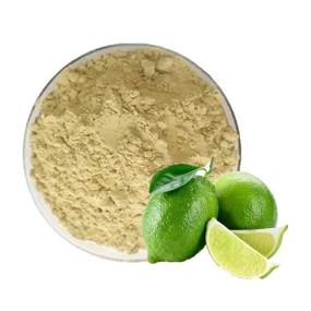 Hot Sell Lime Powder Lime Juice Powder Lime Spray Dry Powder