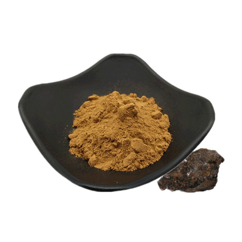 Natural Health Supplement Shilajit Extract Powder Shilajit Powder