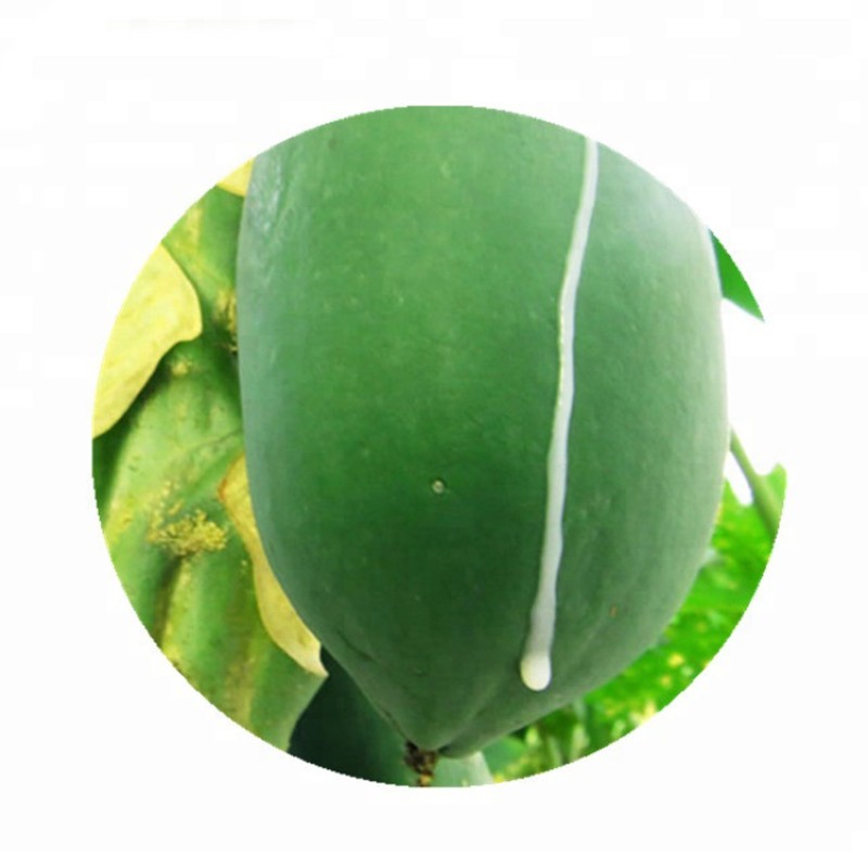 Bulk 100% Pure Natural Papain Enzyme Price Papain Enzyme Powder Papain Powder