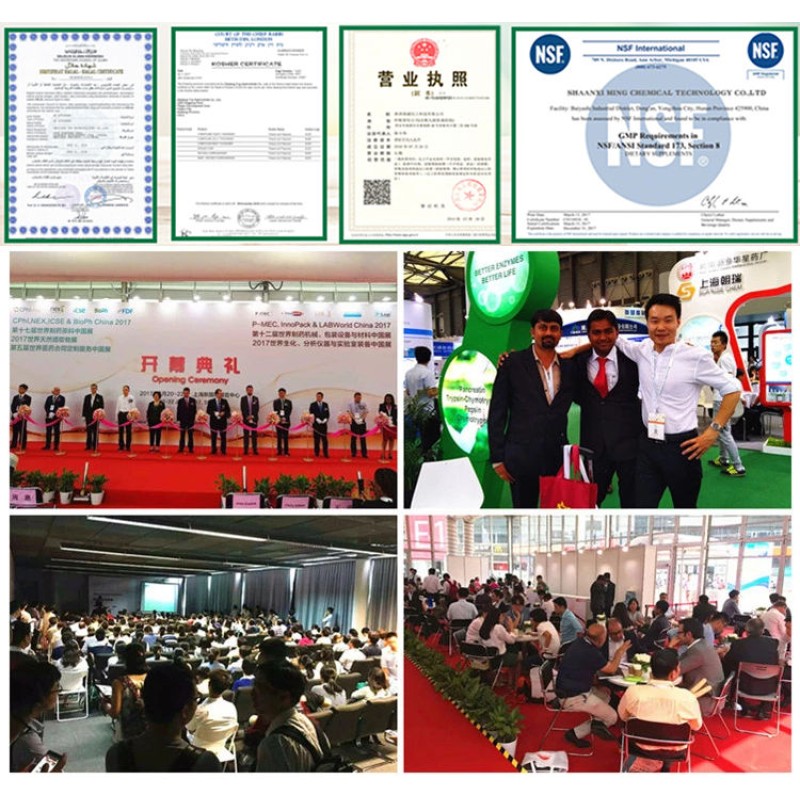 Wholesale 25kg Bulk Whey Protein Concentrate WPC 80% Whey Protein Isolate WPI 90% Whey Protein Powder