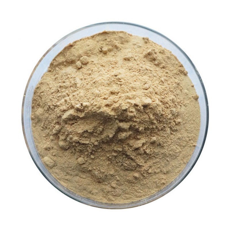 Organic Sugar Subsittute Monk Fruit Extract 30% Mogroside V Luo Han Fruit Extract Powder