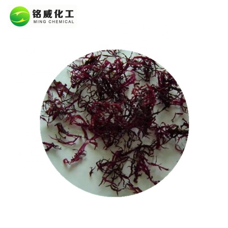 Bulk Natural Antioxidant Astaxanthin Haematococcus Pluvialis Astaxanthin Powder Supplier