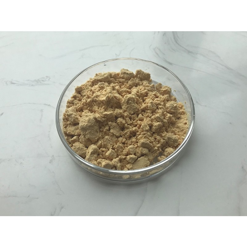 Natural Docosahexaenoic Acid Dha Algal Oil Schizochytrium Dha Powder