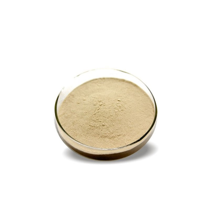 Organic Sugar Subsittute Monk Fruit Extract 30% Mogroside V Luo Han Fruit Extract Powder