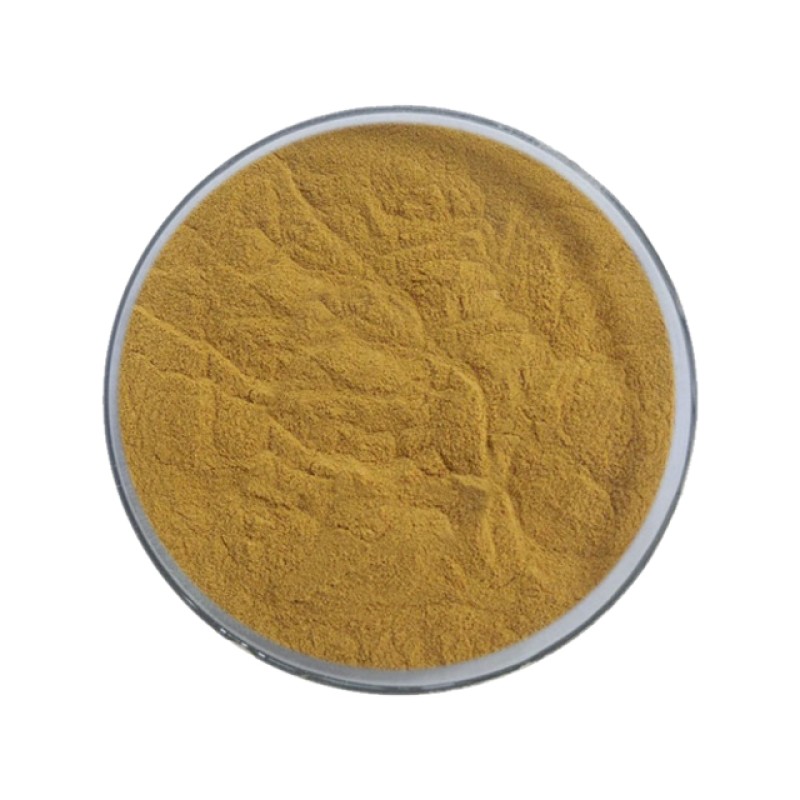 Organic Sugar Subsittute Monk Fruit Extract 30% Mogroside V Luo Han Fruit Extract Powder