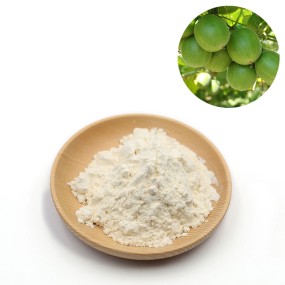 Organic Sugar Subsittute Monk Fruit Extract 30% Mogroside V Luo Han Fruit Extract Powder