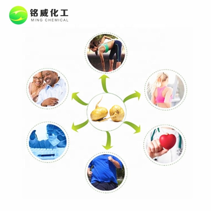 Factory Supply 100% Pure Natural Maca Root Extract Powder