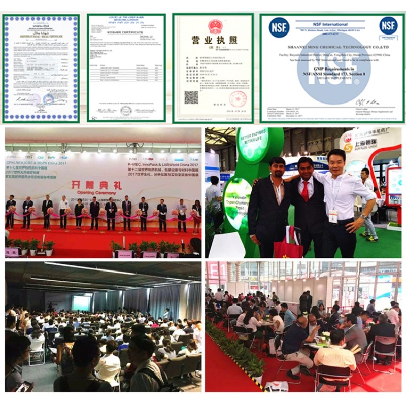 Natural Siberian Ginseng Extract Eleutheroside 0.8% 1.2% 1.5% Acanthopanax Plant Extract Eleutheroside Powder