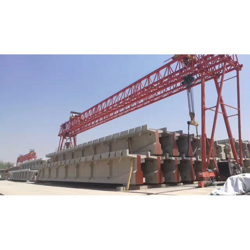 Double Girder Gantry Crane Manufacturer - Engineering Crane China Supplier
