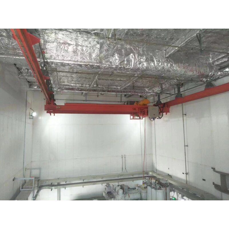 Engine Room Crane Factory - Single/Double Rail Cabin Overhead Custom