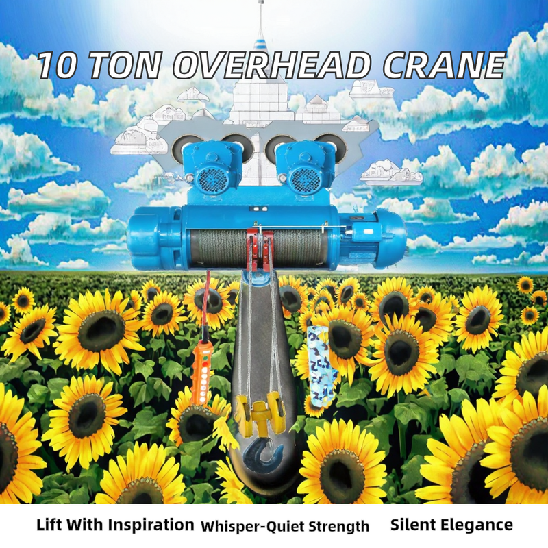 Overhead Crane Supplier - 6 Ton Large Capacity Traveling Electric Hoist