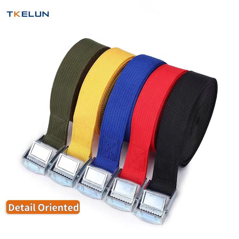 Cam Buckle Tie Down Supplier - 25mm Polyester Webbing Lashing Belt