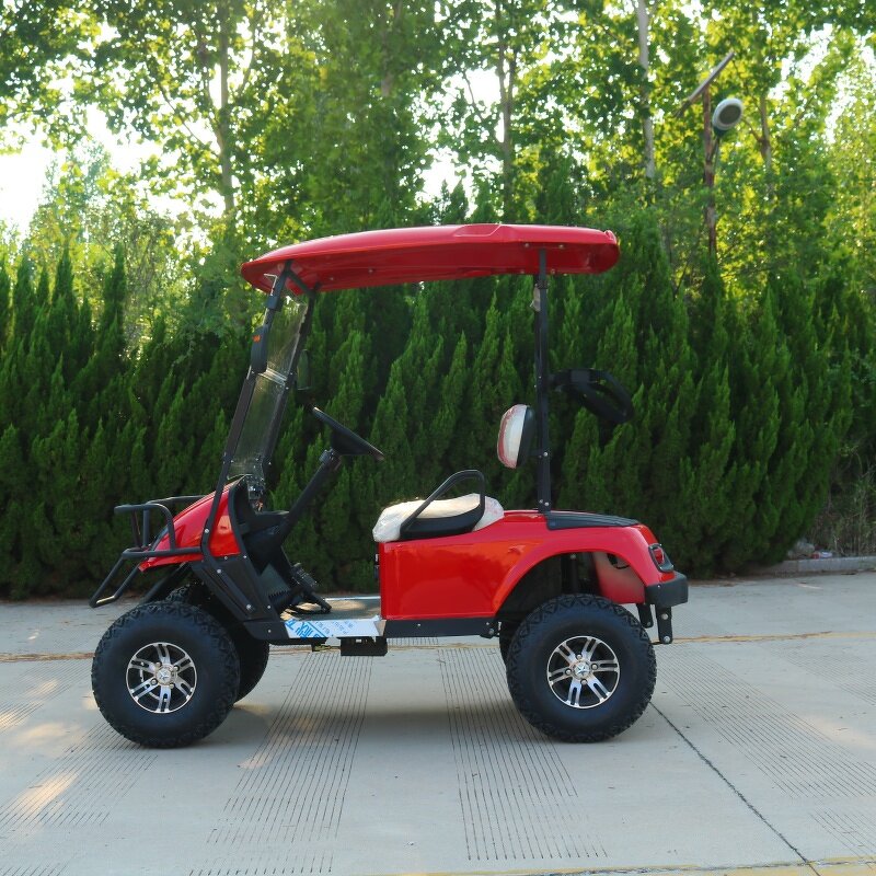 Electric Golf Cart Manufacturer - OEM/ODM 2-Seater 48v Lithium Sightseeing Golf Cart
