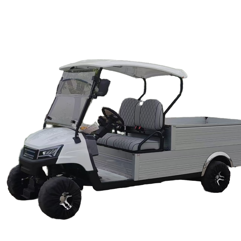 Electric Golf Cart Manufacturer - OEM/ODM 48v Battery 4 Stroke Engine Cargo Golf Cart