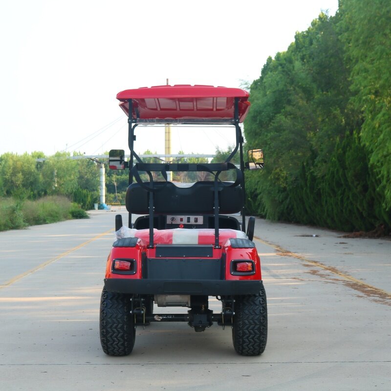 Electric Golf Cart Manufacturer - OEM/ODM 2-Seater 48v Lithium Sightseeing Golf Cart