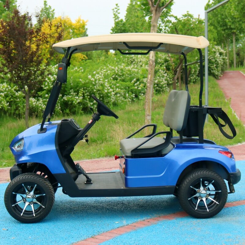 Electric Golf Cart Manufacturer - OEM Custom 2-Seater Lithium Battery Utility Cart
