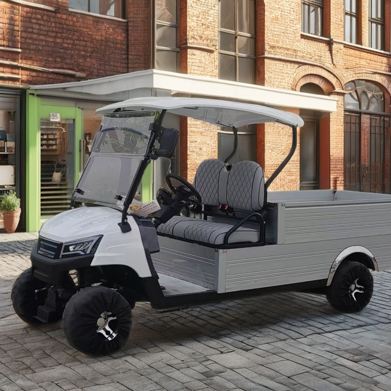 Electric Golf Cart Manufacturer - OEM/ODM 48v Battery 4 Stroke Engine Cargo Golf Cart