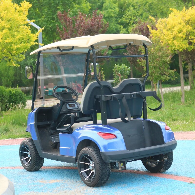 Electric Golf Cart Manufacturer - OEM Custom 2-Seater Lithium Battery Utility Cart
