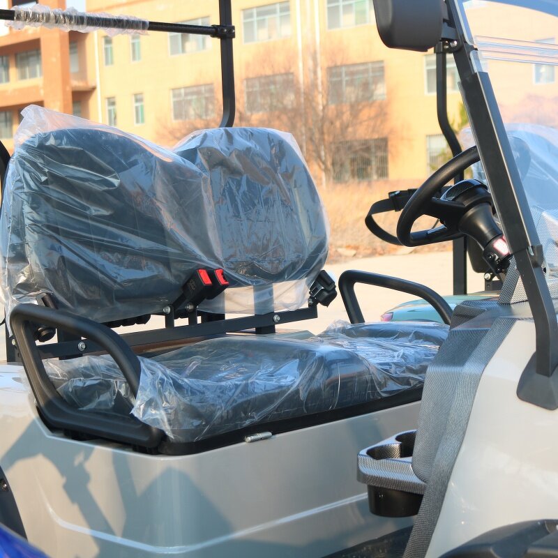 Electric Golf Cart Manufacturer - OEM/ODM 2-Passenger 72v Sightseeing Golf Cart
