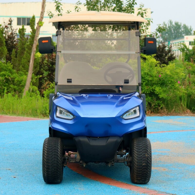 Electric Golf Cart Manufacturer - OEM Custom 2-Seater Lithium Battery Utility Cart