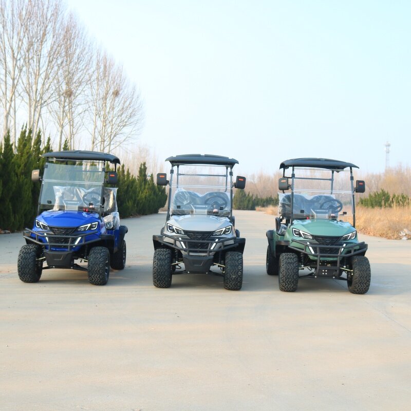 Electric Golf Cart Manufacturer - OEM/ODM 2-Passenger 72v Sightseeing Golf Cart