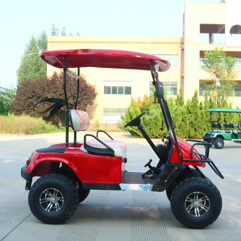 Electric Golf Cart Manufacturer - OEM/ODM 2-Seater 48v Lithium Sightseeing Golf Cart