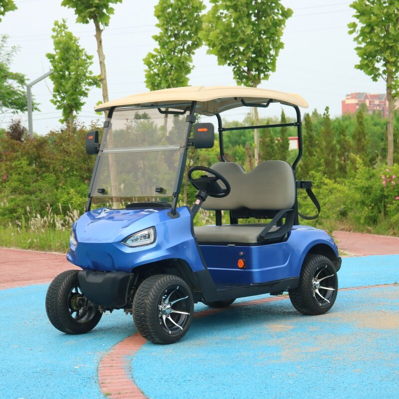 Electric Golf Cart Manufacturer - OEM Custom 2-Seater Lithium Battery Utility Cart