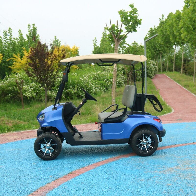 Electric Golf Cart Manufacturer - OEM Custom 2-Seater Lithium Battery Utility Cart