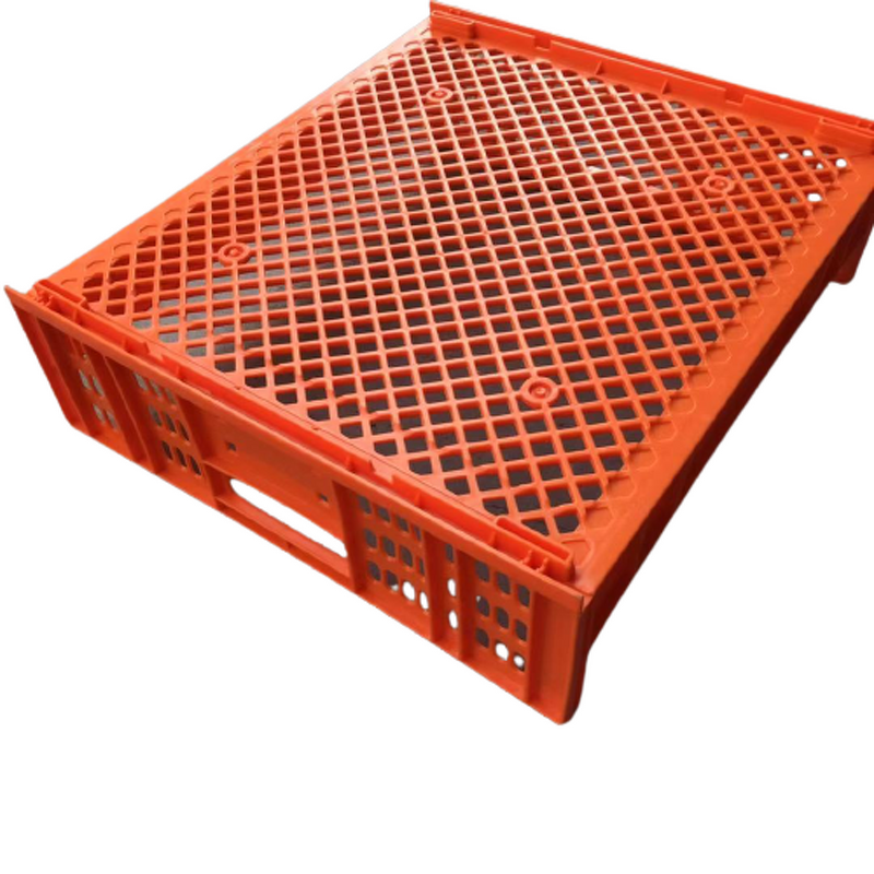 Plastic Crate Manufacturer - OEM/ODM 550x480x170mm Bread Storage Crate