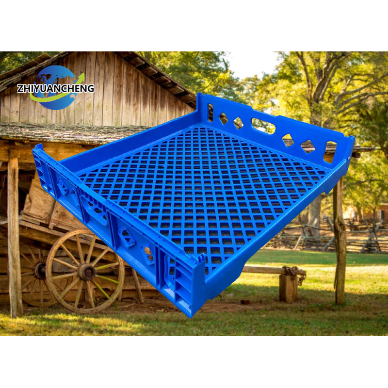 Folding Plastic Basket Manufacturer - Wholesale Kitchen Food Fruit Cutlery Basket