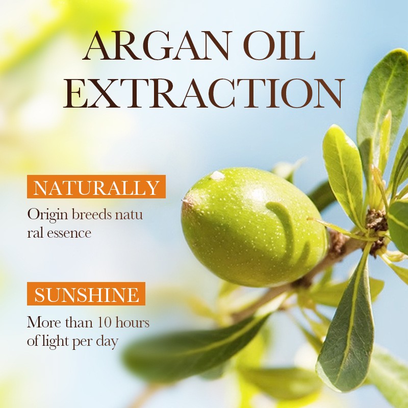 Argane Oil Anti-dandruff Anti-itch Shampoo Soft Nourishing Oil Removal Smooth Eco-friendly Shampoo