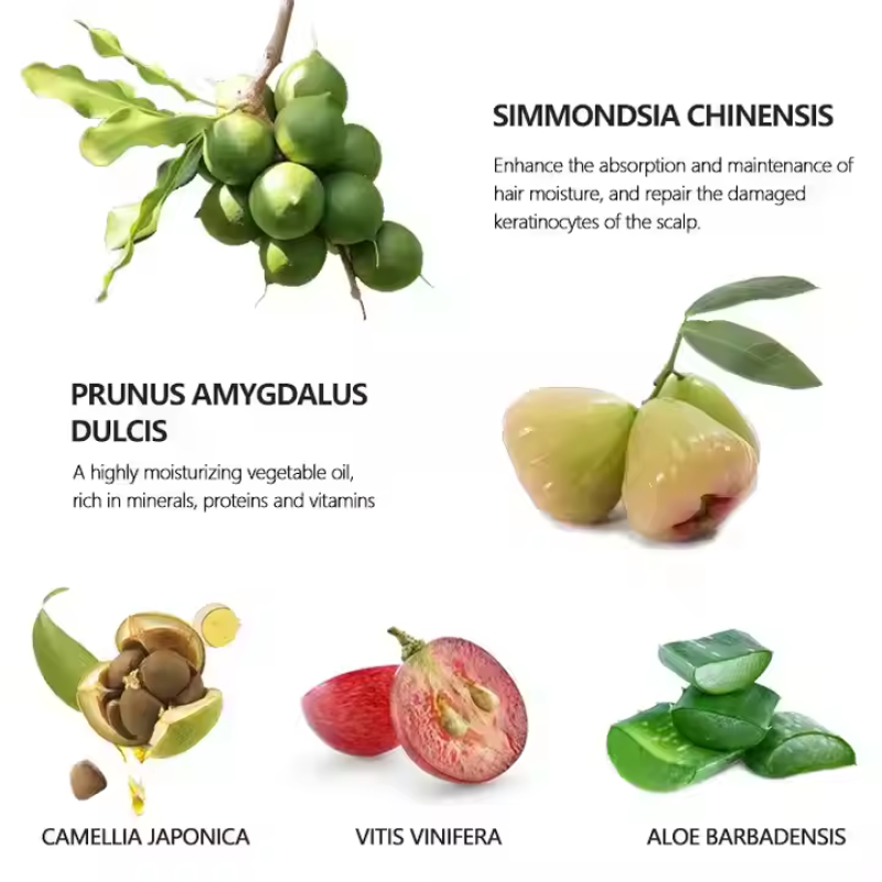 Best Selling 30ml Natural Strengthen Soften Fleshing Smoothing Nourish&Strengthen Men's Beard Hair Care Beard Growth Oil for Men