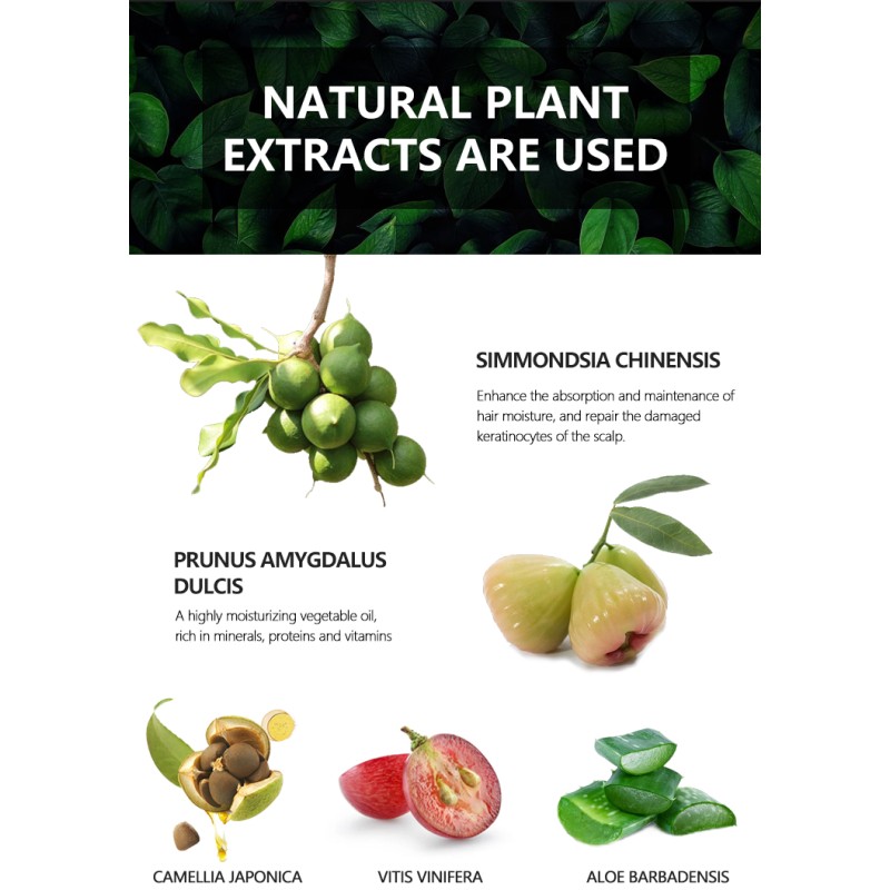 Wholesale Private Label Natural Organic Custom Logo Mens Skin Care Beard Serum Oil