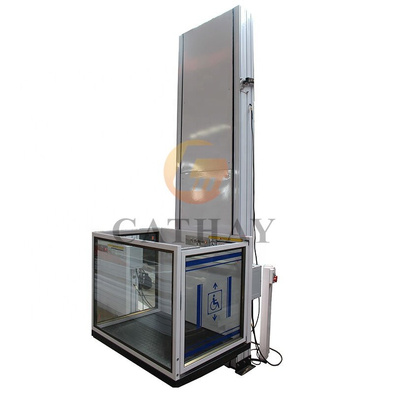 Household Lift Manufacturer - OEM/ODM 1-12m 250kg Indoor Outdoor Passenger Lift