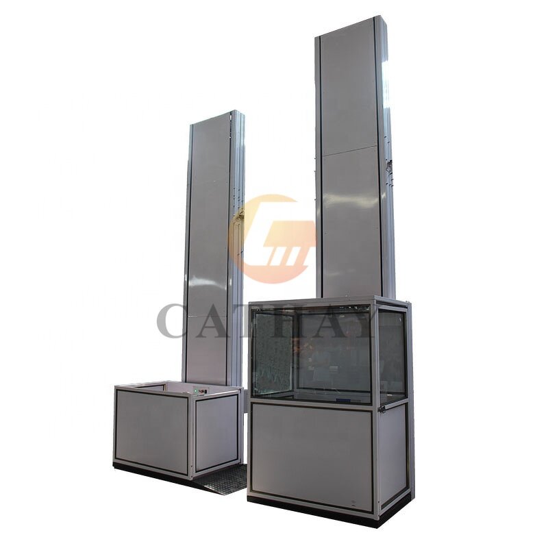 Household Lift Manufacturer - OEM/ODM 1-12m 250kg Indoor Outdoor Passenger Lift