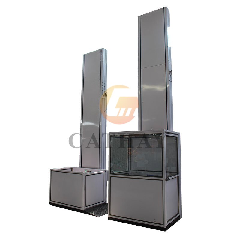 Passenger Elevator Manufacturer - OEM/ODM Ce Certificated Residential China Lift