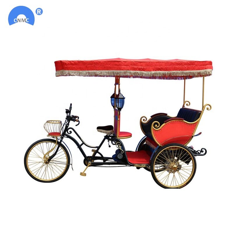 Electric Rickshaw Tricycle Supplier - 3 Wheel 3 Seat Tuk Tuk for Passenger