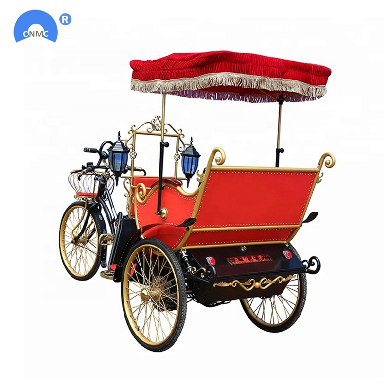 Remote Control Lawn Mower Factory - Gasoline Robot Mower for Sale