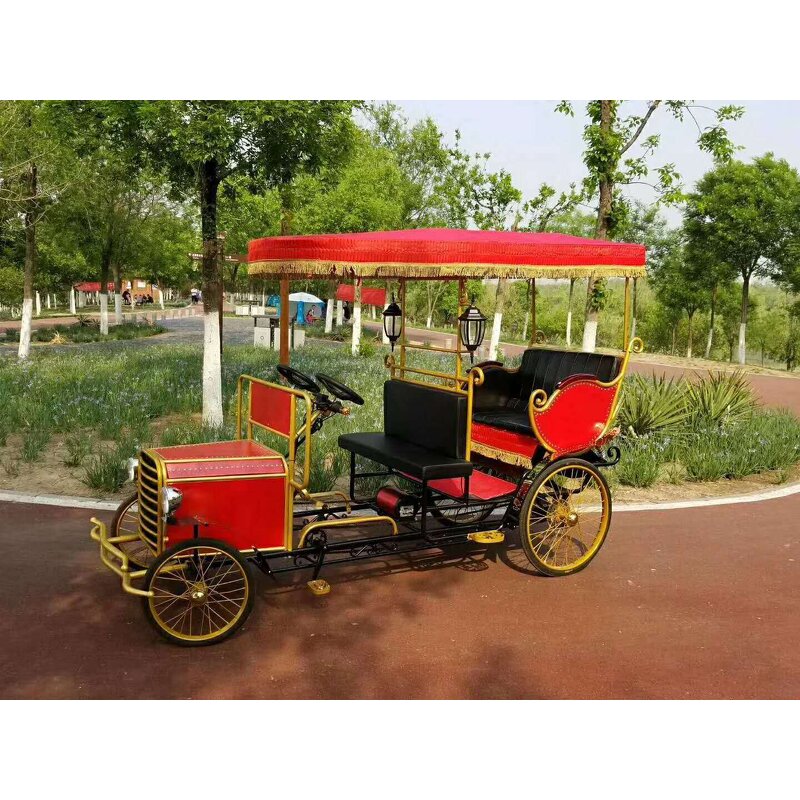 Tourist Rickshaw Bike Factory - Electric Black Front Seat Pedicab Manufacturer