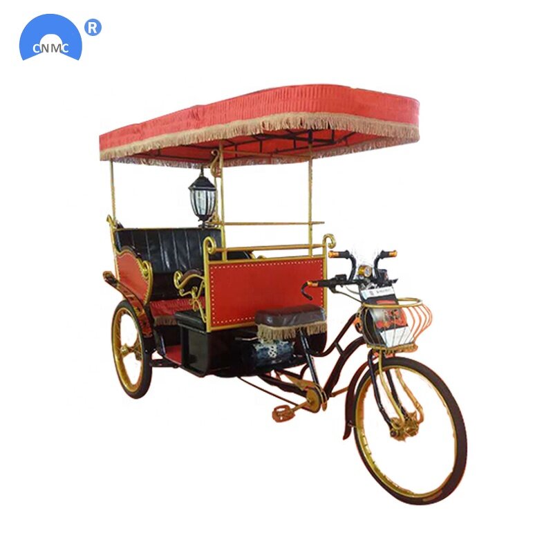 Electric Rickshaw Tricycle Supplier - 3 Wheel 3 Seat Tuk Tuk for Passenger