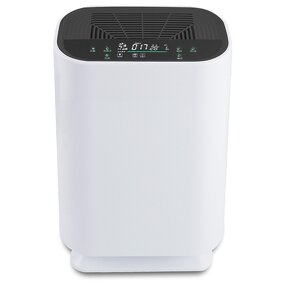 Air Purifier Manufacturer - OEM/ODM Personal Smart Negative Ionizer Home Purifier