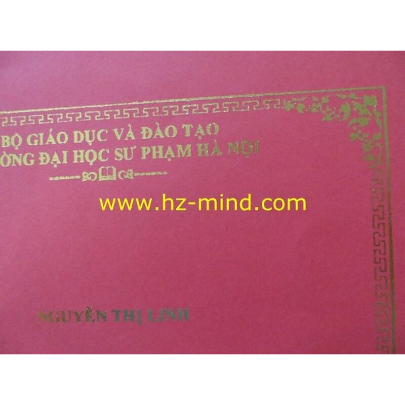 Hot Foil Stamping Machine Manufacturer - Wholesale HGP-350 Electric Digital Control Hydraulic