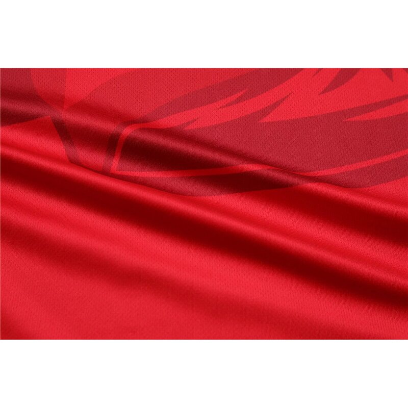 Badminton Jersey Supplier - Top Selling Design Men's Sportswear T-shirt