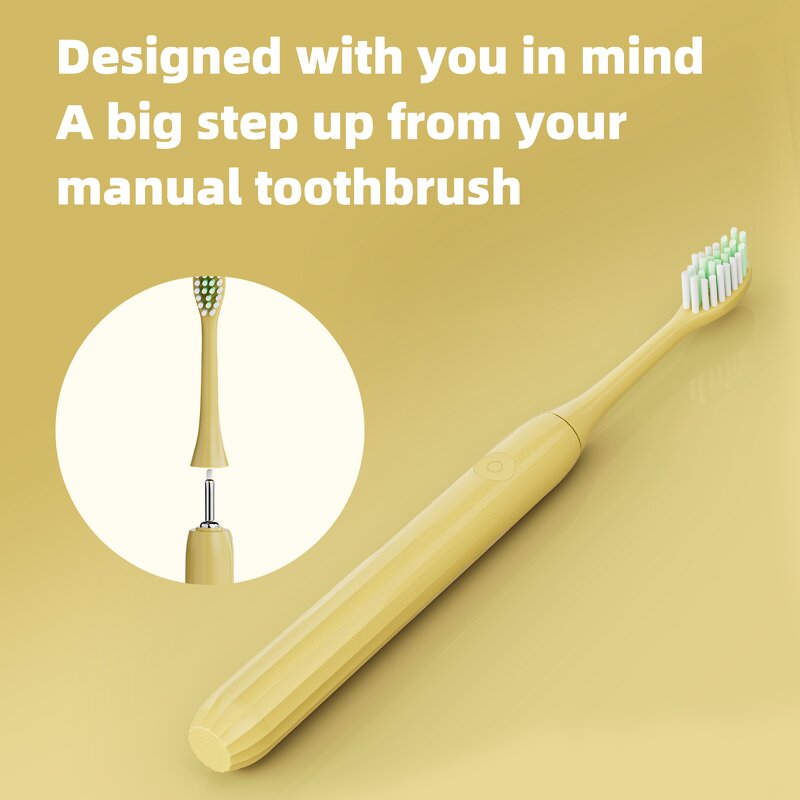 Electric Toothbrush Manufacturer - OEM/ODM IPX7 Waterproof USB Rechargeable Sonic