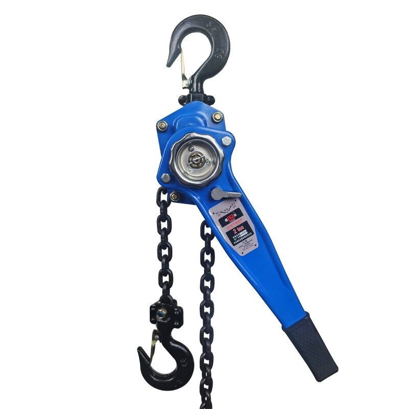 Lever Chain Block Supplier - 9Ton 3 Meters High Quality Manual Hoist