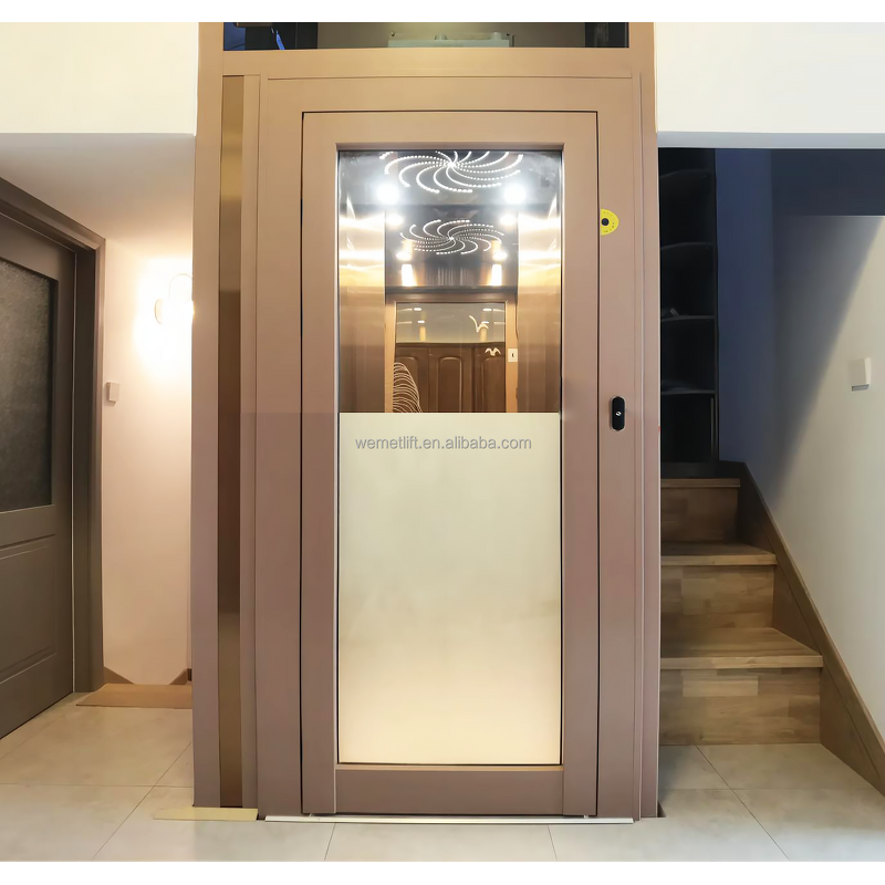 Home Elevator Manufacturer - OEM/ODM Outdoor Residential 2-4 Person Traction Lift