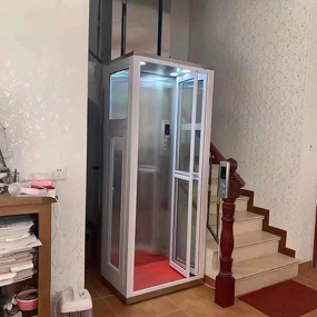 Residential Elevator Manufacturer - OEM/ODM CE ISO 320-450KG Modern Glass Lift
